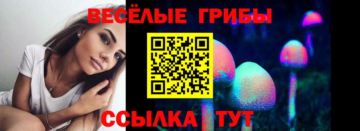 Галлюциногенные грибы ЛСД  Вход с VPN  Псилоцибиновые грибы Psilocybe  Рузаевка 